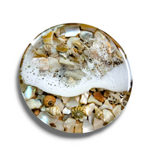 Load image into Gallery viewer, Shell Tide Pool Coasters