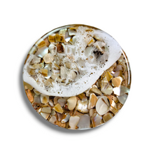 Load image into Gallery viewer, Shell Tide Pool Coasters