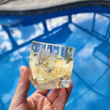 Load image into Gallery viewer, Reserved for Kacie - Remaining Payment for Custom Floral Preservation Order