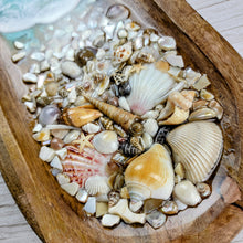 Load image into Gallery viewer, Treasures of the Beach Catch-All Tray