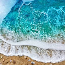 Load image into Gallery viewer, Shell Shores