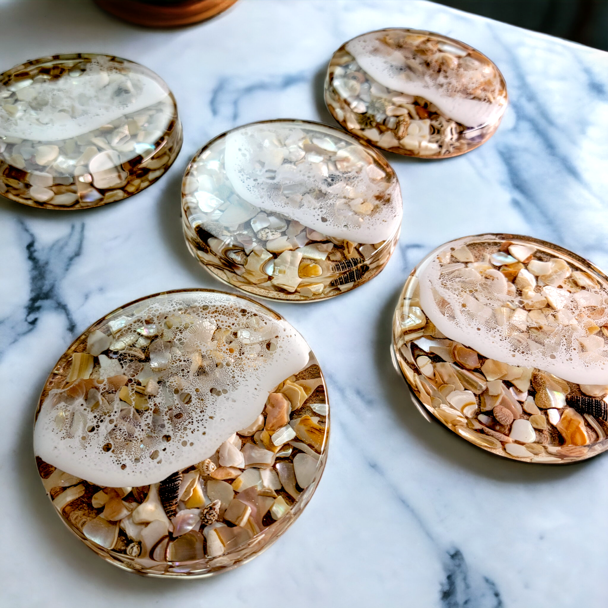Shell Tide Pool Coasters – Crafted by Rachel