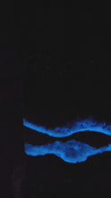 Load and play video in Gallery viewer, Bioluminescence Wall Art 30x15
