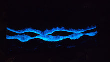 Load image into Gallery viewer, Bioluminescence Wall Art 30x15
